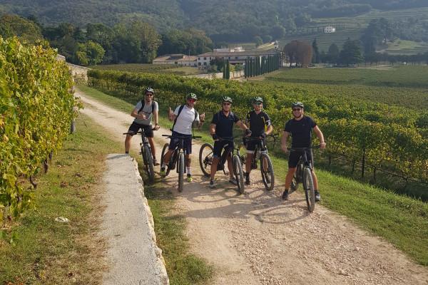Le colline del Bardolino