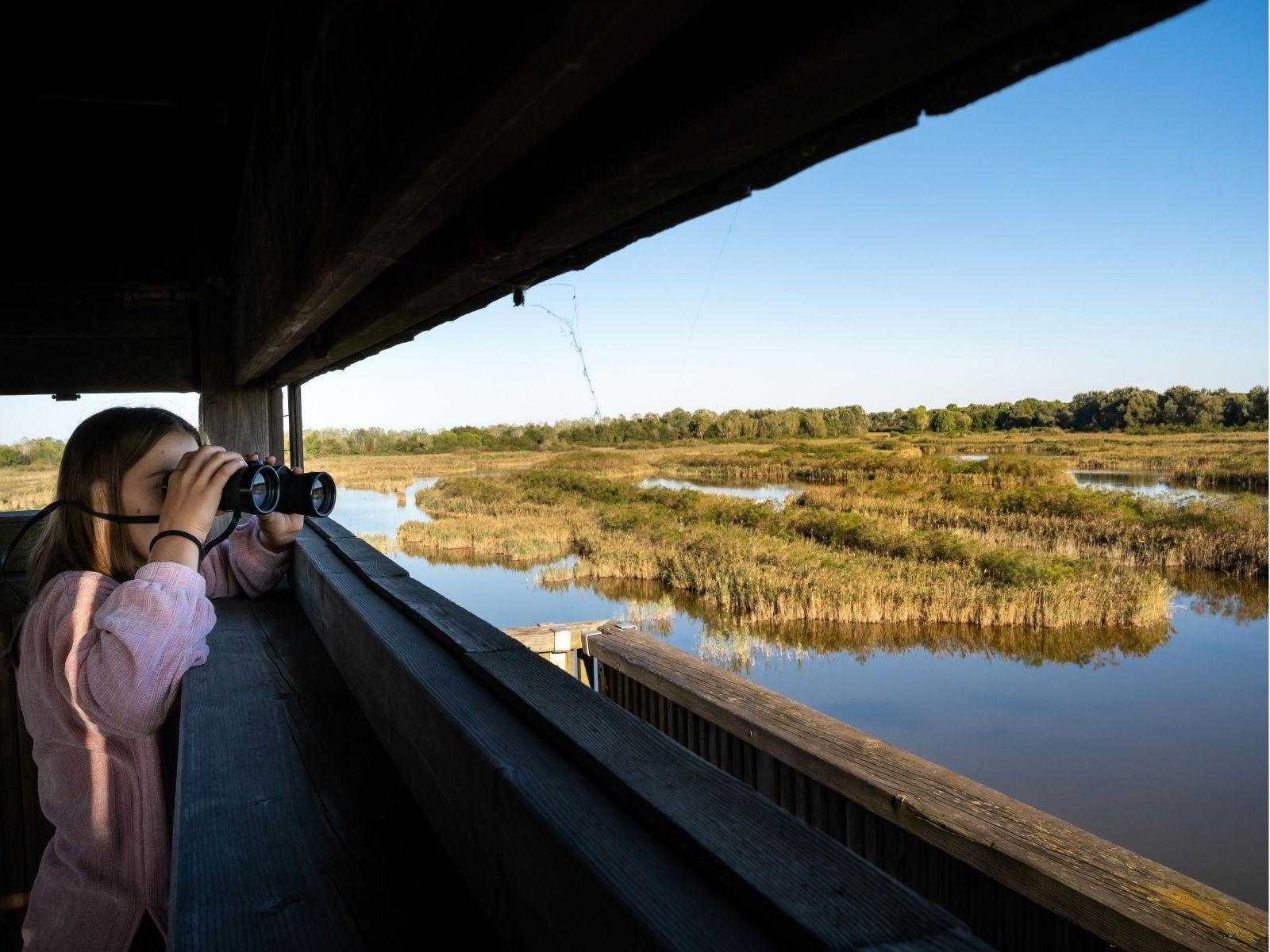 Lagoon Guided Tour