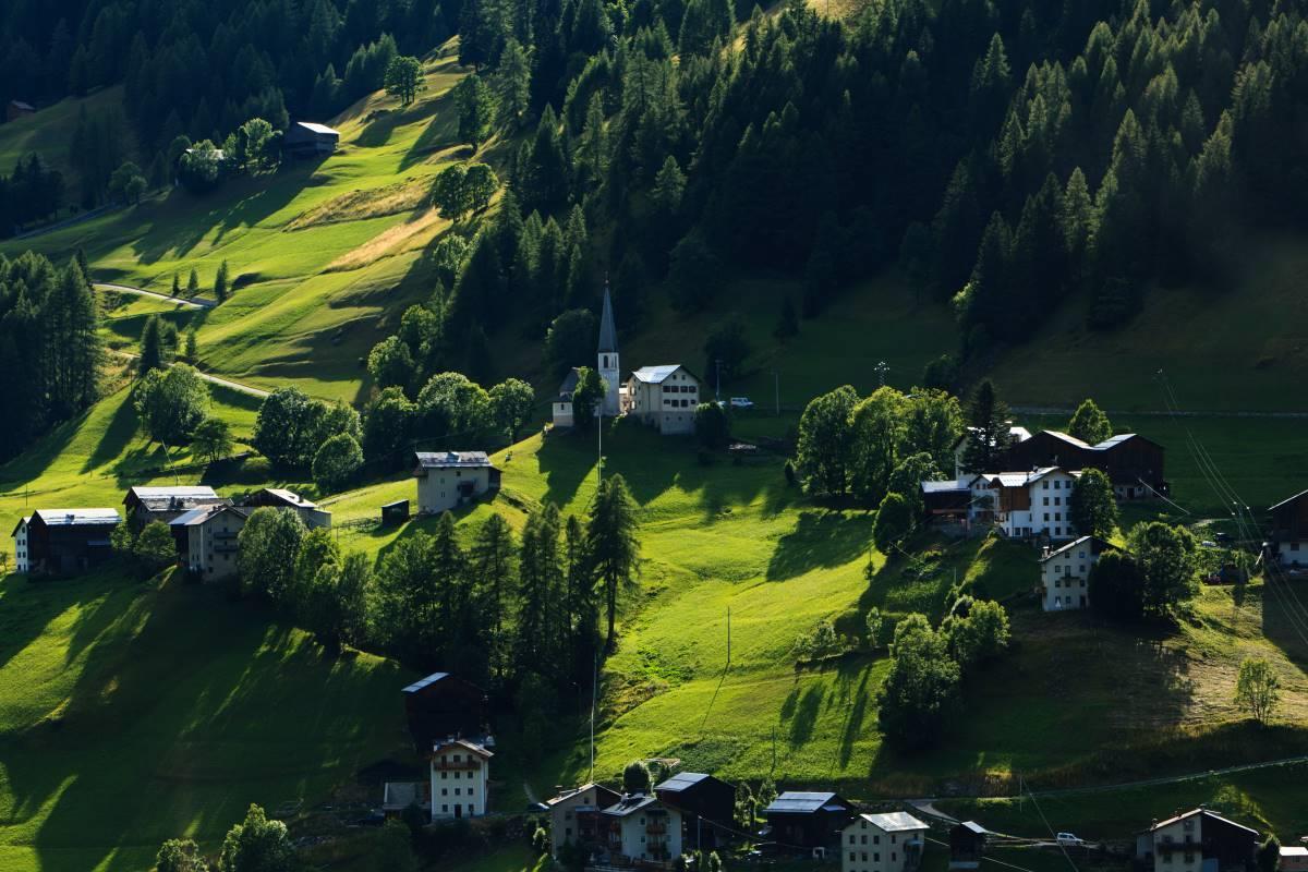 Ornella - 19 agosto 2021