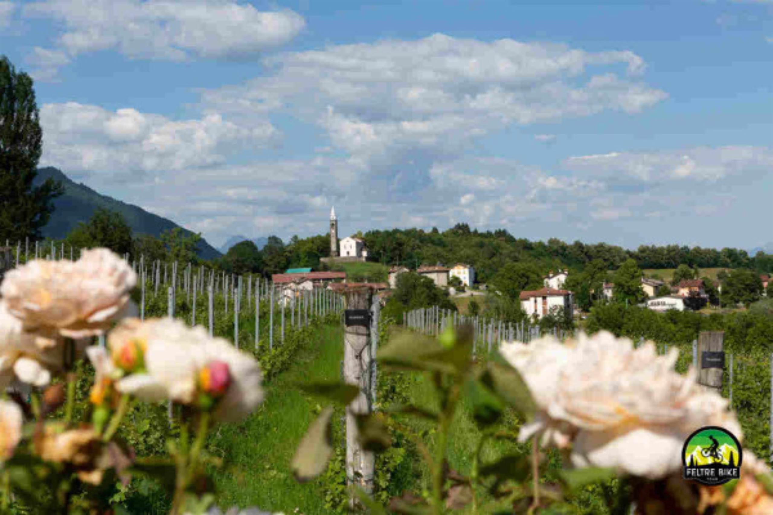 Vignui - Pian delle Vette