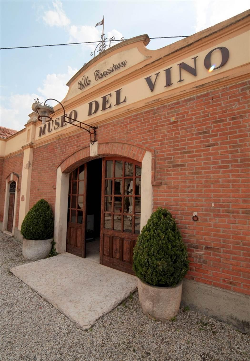 Museo Vino