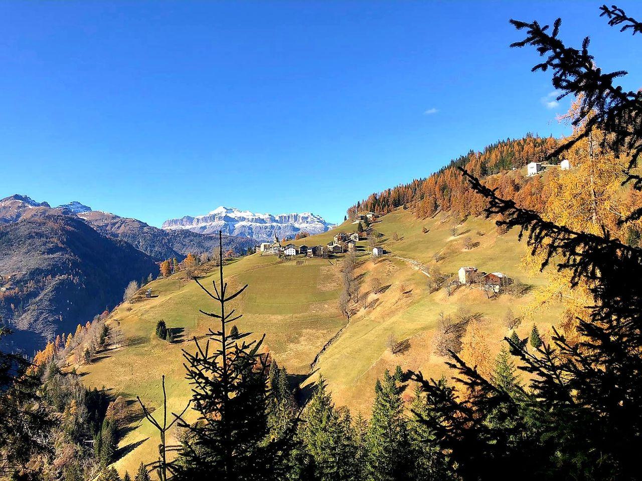 Larzonei - 24 ottobre 2021