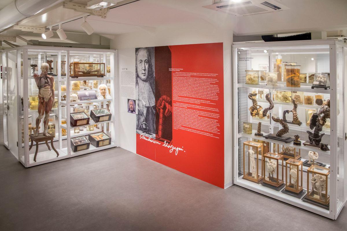 Federico Milanesi © Università di Padova1