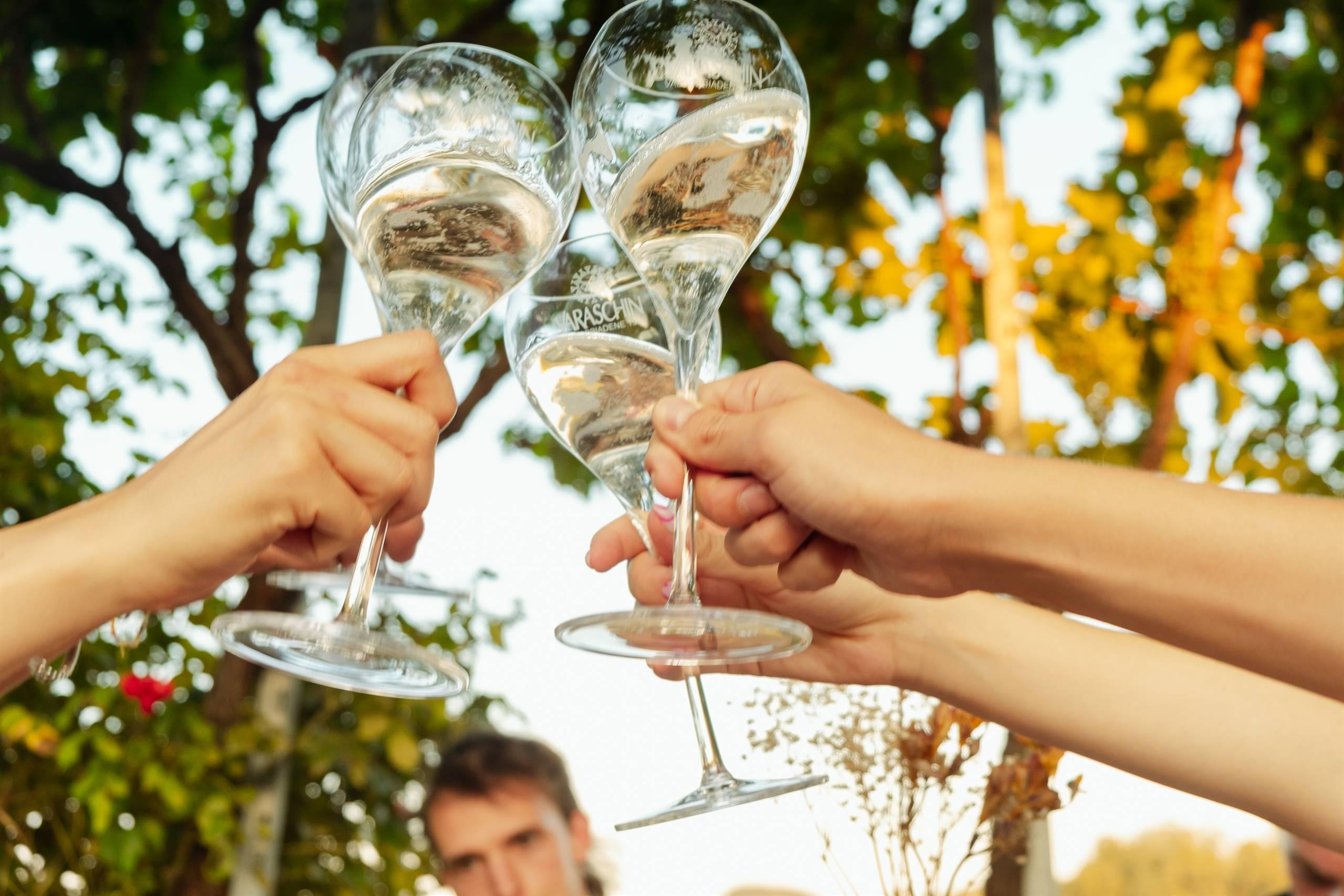 Degustazione acino - Varaschin - Valdobbiadene -