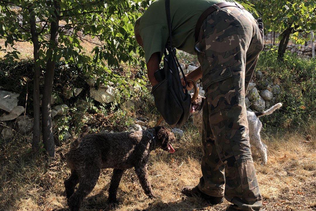 truffle-hunting-valpolicella-6