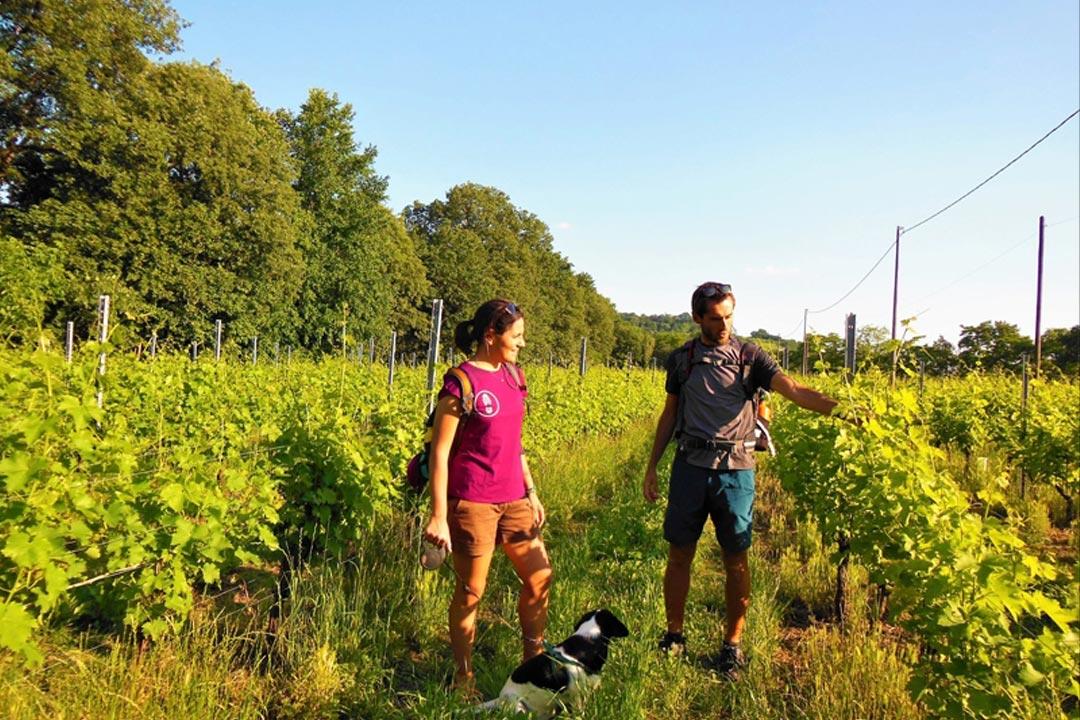 trekking-cammina-custoza-2