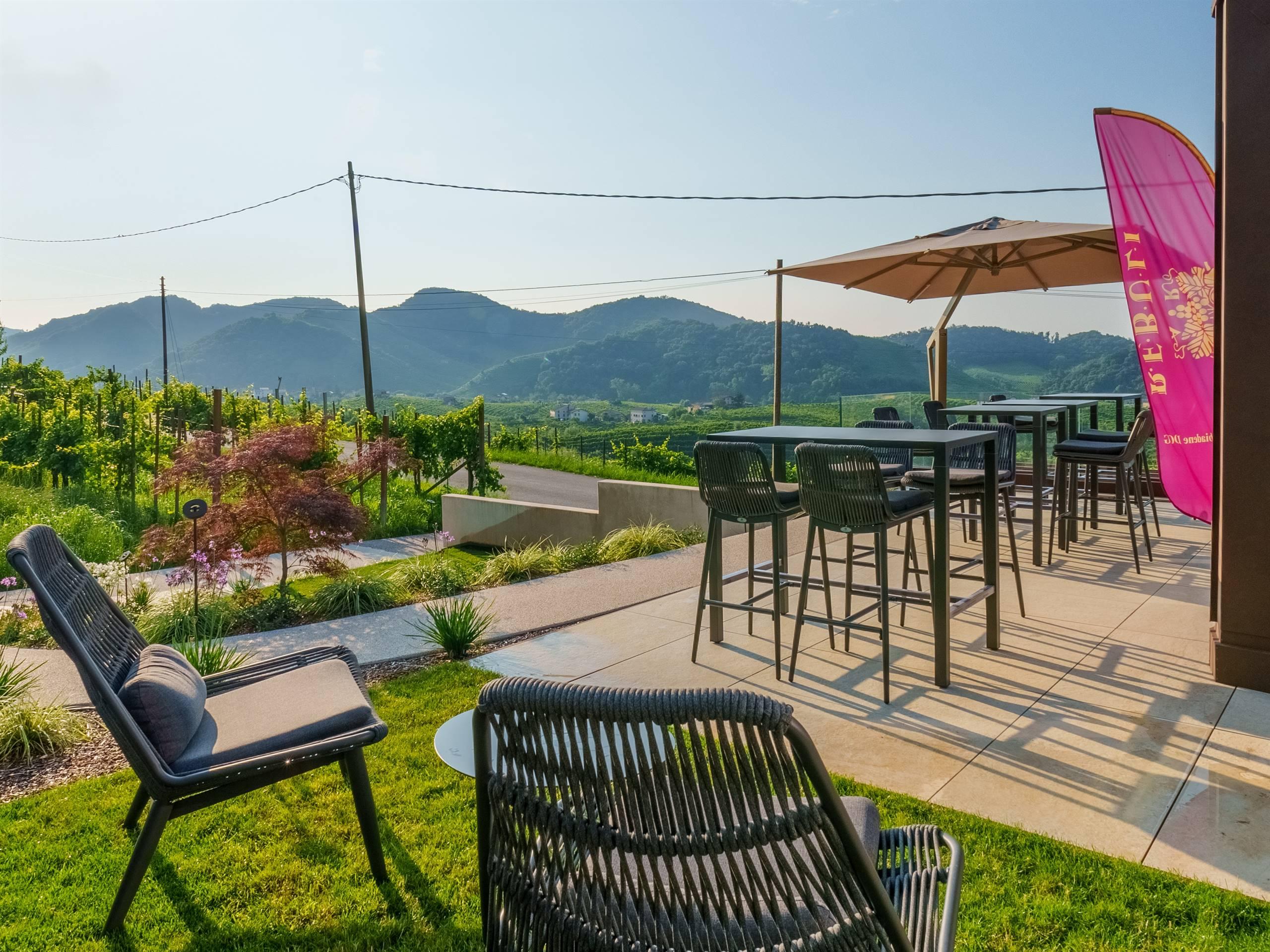 Viaggio nel cuore della DOCG - Az. Agr. Rebuli Ang