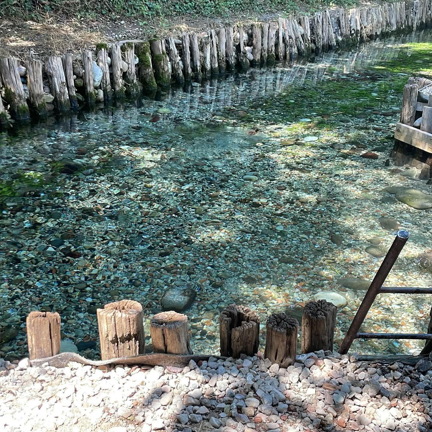 l'acqua limpida delle risorgive