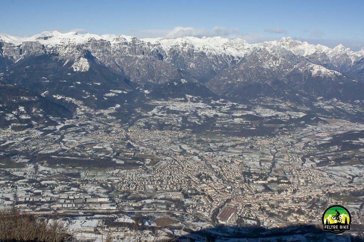 Vista da cima Tomatico