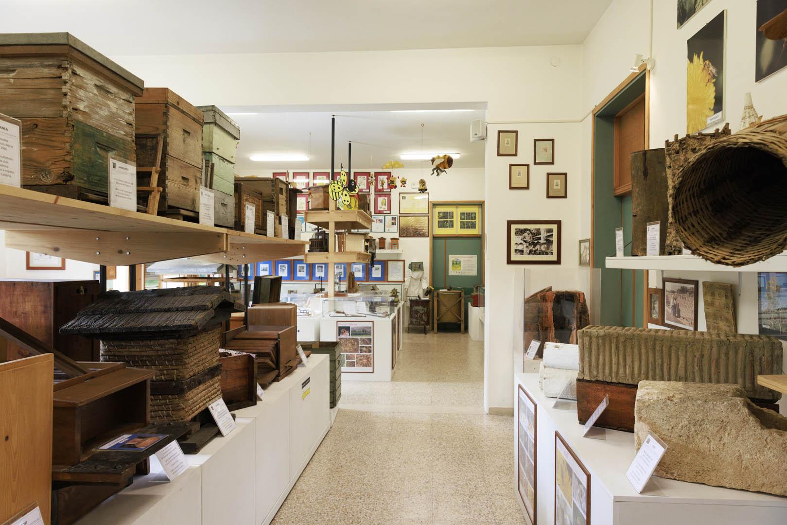 Museo "Guido Fregonese"