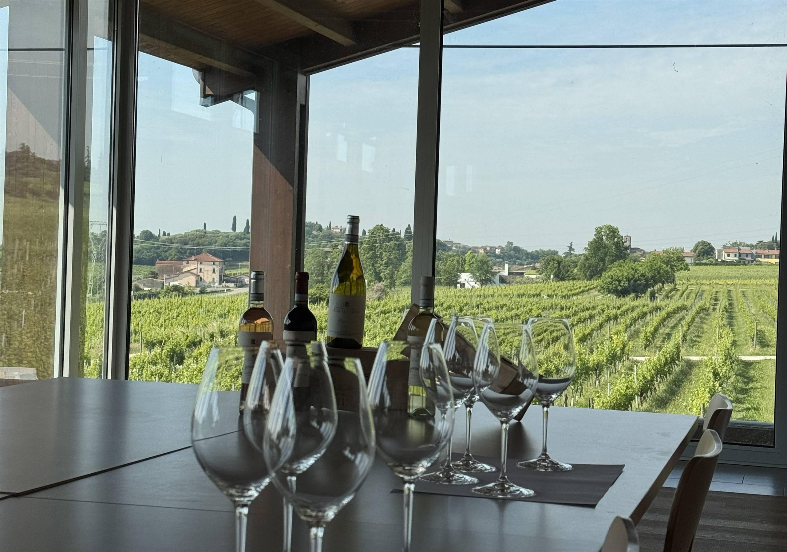 Sala degustazione