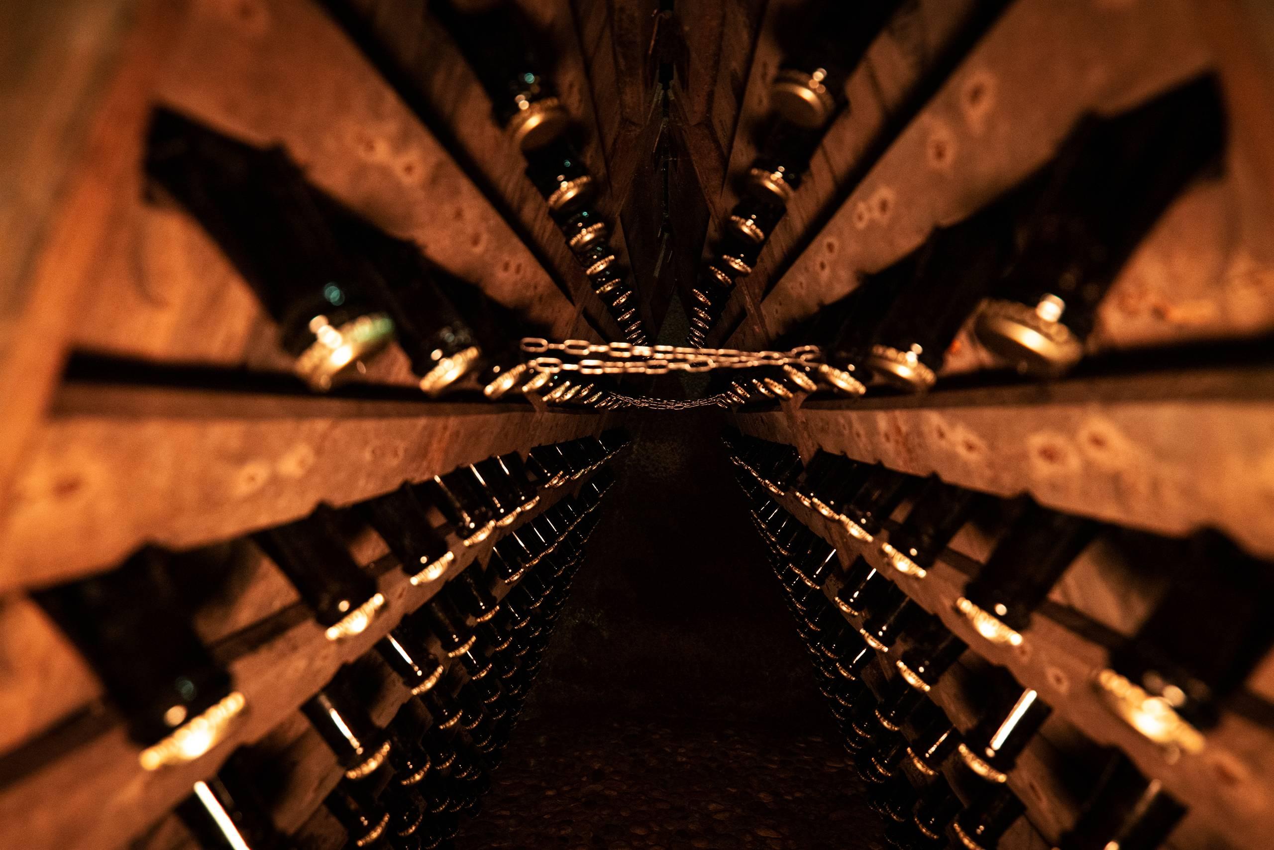 Trio Wine Experience