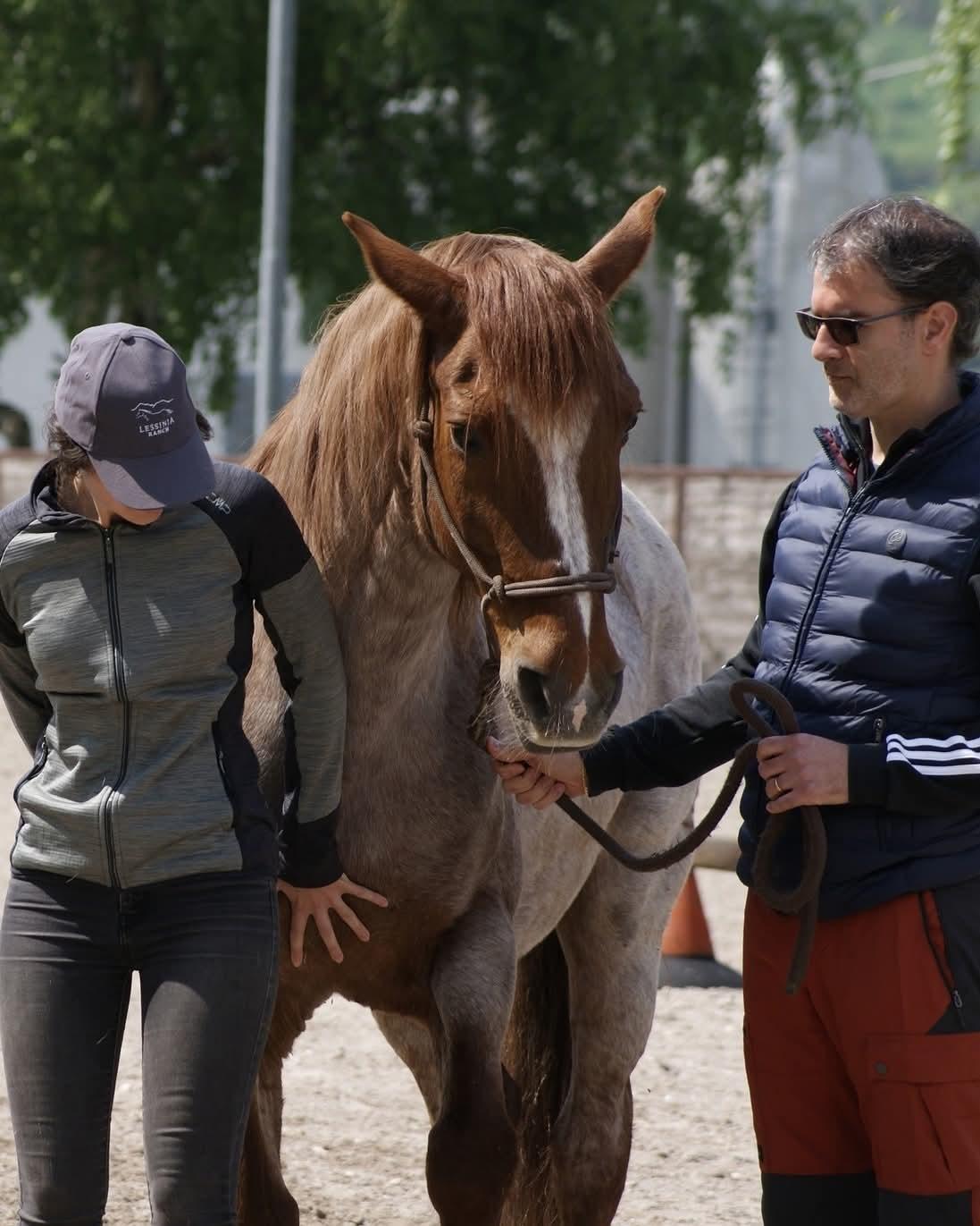 eQuiLeader