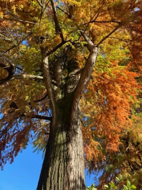 Autunno