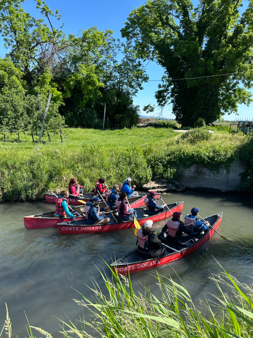 Canoe