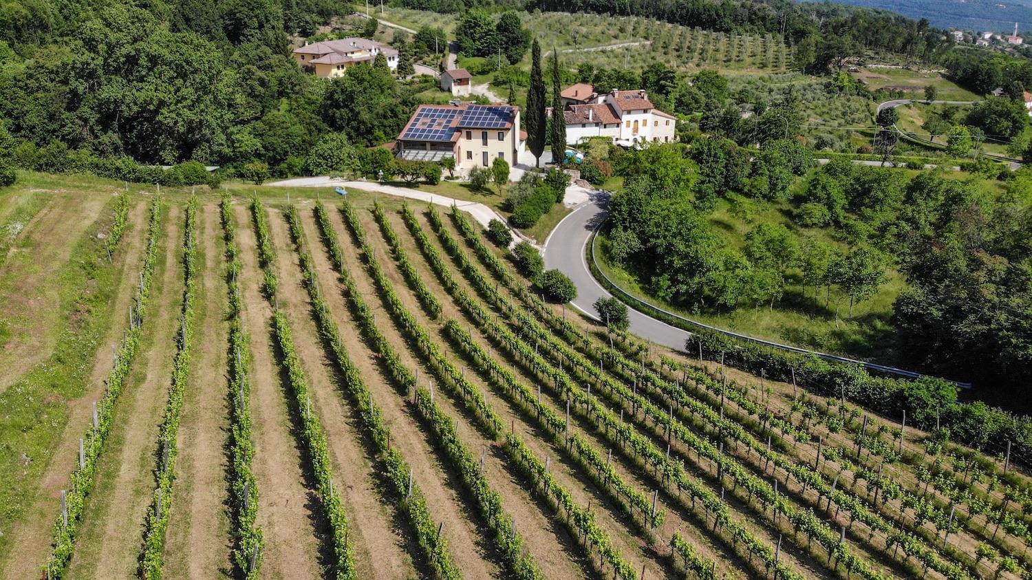 Degustazione olio e vino con passeggiata 1