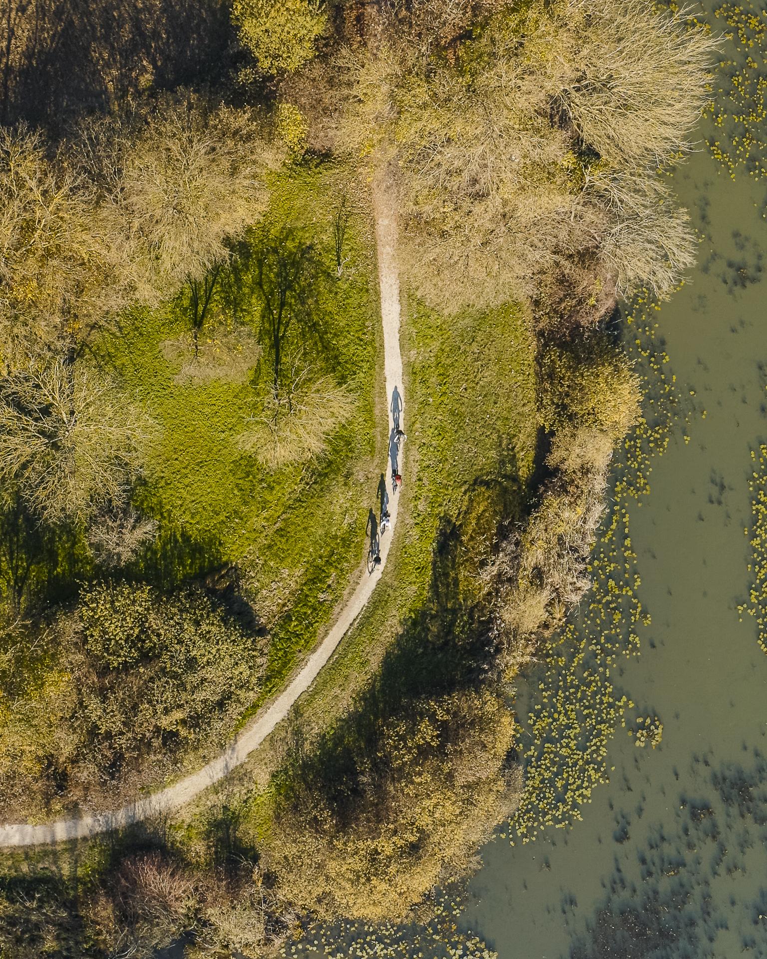 Il 'Safari dei Berici': Tour in E-Bike 1