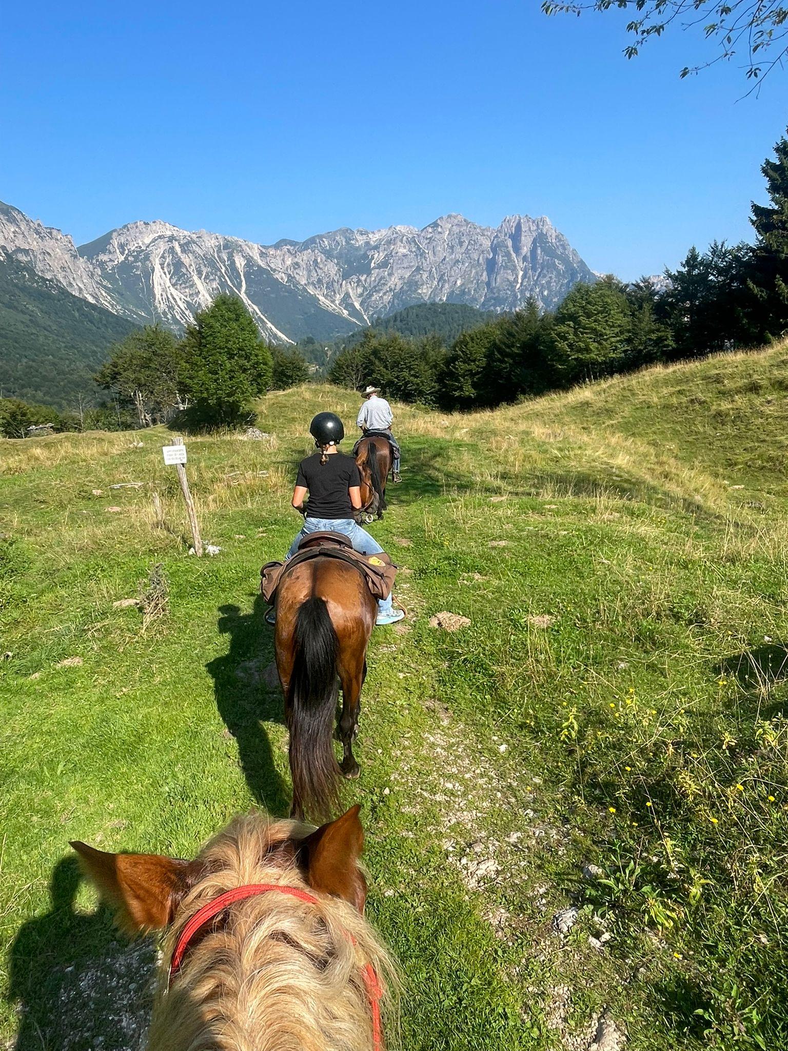 Avvicinamento al Horsemanship (attività di avvicin