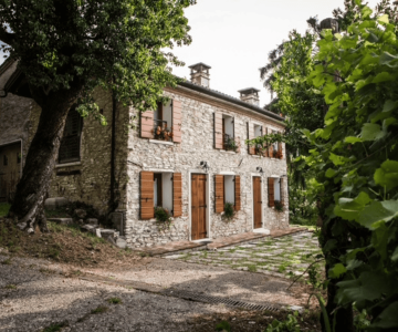 Locazione turistica: Vite in rosa La Casetta