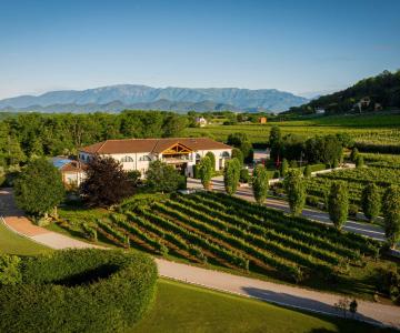 DJI_20240524061559_0127_D-Migliorato-NR-min-min_11