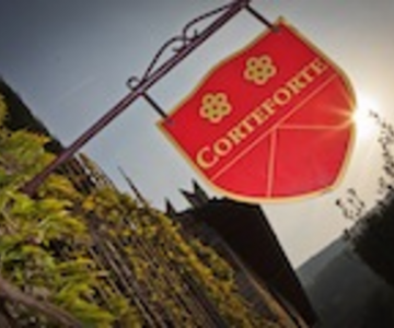 Scudo Corteforte.png