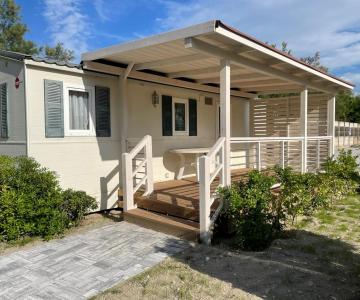 WhatsApp Image 2022-06-14 at 16.46.22 (1)