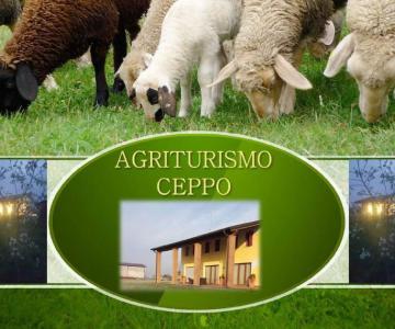 Agriturismo Ceppo