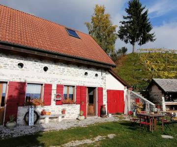 borgocoe03-uai-1600x900