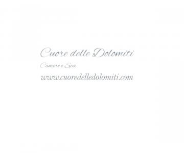 logo e sito web
