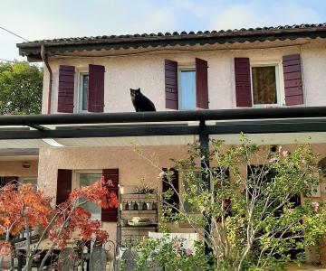 125363418_2801508256787821_7666841605320175829_n