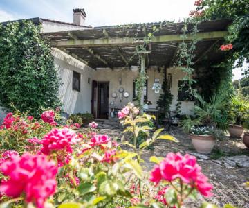 agriturismo-monte-sereo-esterno-2