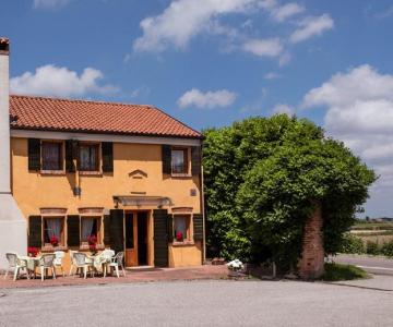 gallery-4-rose-7-1024x597