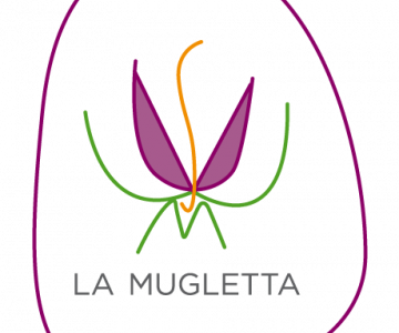 marchio colore fondo trasparente