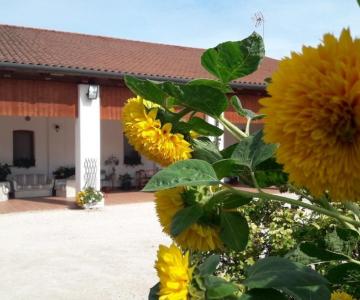 Agriturismo ai Tigli