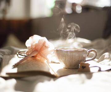 StockSnap_OO9TKTW8FJ