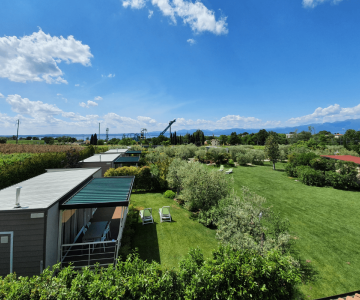 Progetto senza titolo (4)-min