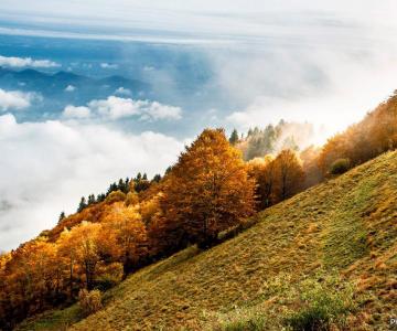 Antonio-Dalla-Porta-1200x708