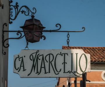 ca marcello (web)-1255169