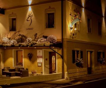 capriolo esterno sera-crop