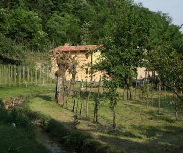 la vallina