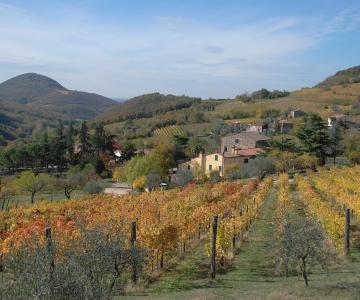 Azienda Villa Alessi