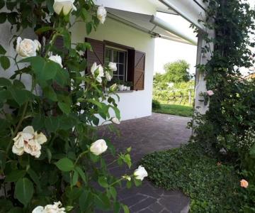 B&B Maria Luisa_view