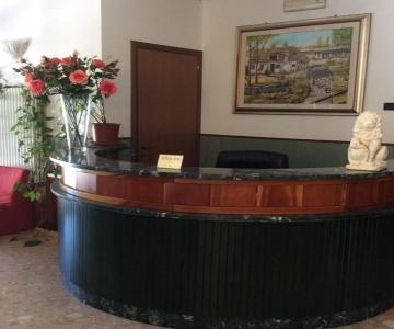 Hotel Ristorante Pizzeria al Leone dip.