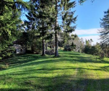 Sentiero dei Boscati