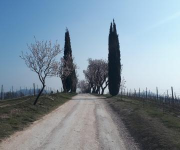 la cartolina del sentiero