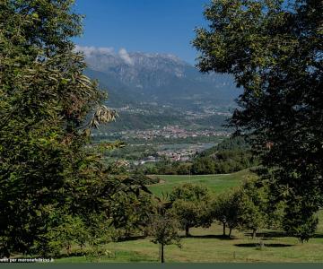 Piante di Morone feltrino e veduta panoramica