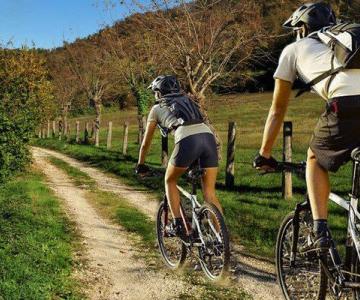 Percorso cicloturistico 30 km Lonigo