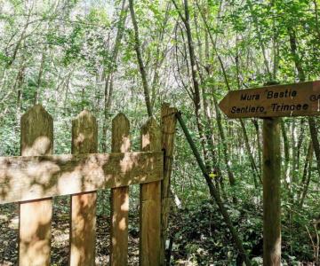 SentieroTriceea