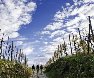 Bandiera Azzurra - PH A. Piai