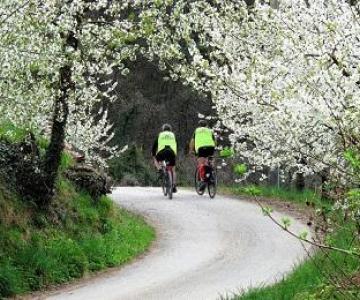 Percorsi in bicicletta